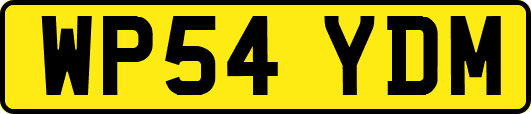 WP54YDM