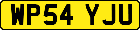 WP54YJU