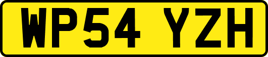 WP54YZH