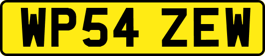 WP54ZEW