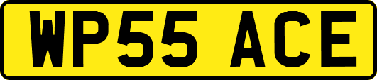 WP55ACE