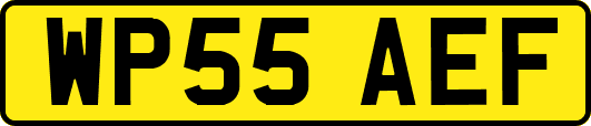 WP55AEF