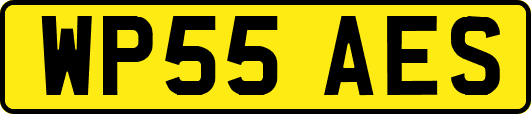 WP55AES