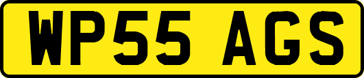 WP55AGS