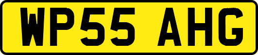 WP55AHG