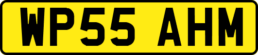 WP55AHM