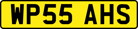 WP55AHS