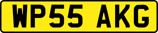 WP55AKG