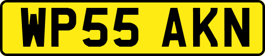 WP55AKN