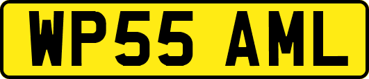 WP55AML