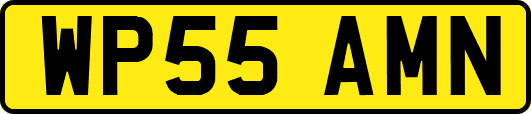 WP55AMN