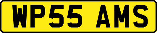 WP55AMS