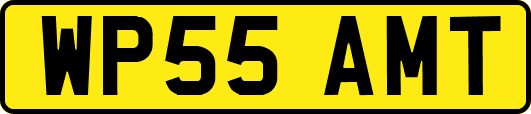 WP55AMT