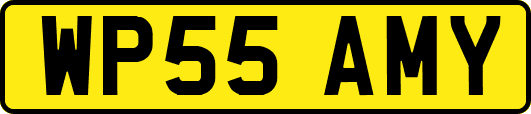 WP55AMY