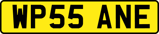 WP55ANE