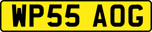 WP55AOG