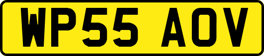 WP55AOV