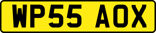 WP55AOX