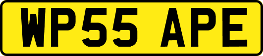 WP55APE