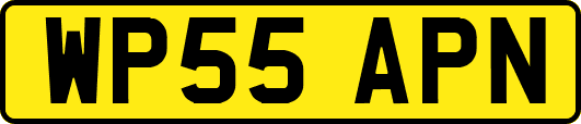 WP55APN