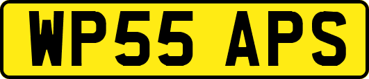 WP55APS