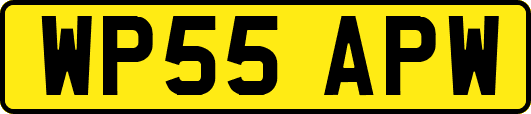 WP55APW