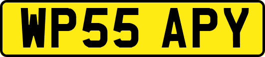WP55APY