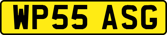 WP55ASG