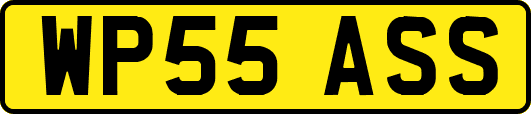 WP55ASS