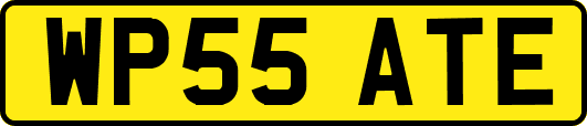 WP55ATE