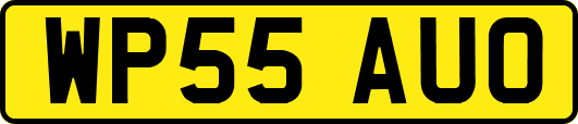 WP55AUO