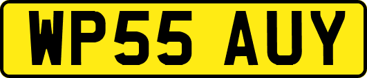 WP55AUY