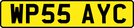 WP55AYC