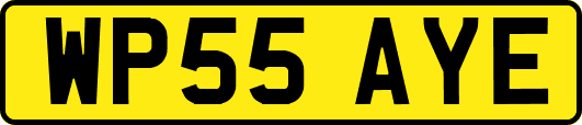 WP55AYE