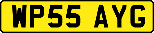 WP55AYG