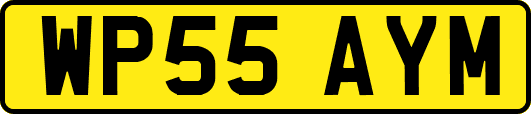 WP55AYM