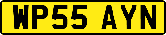 WP55AYN