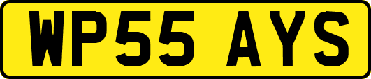 WP55AYS