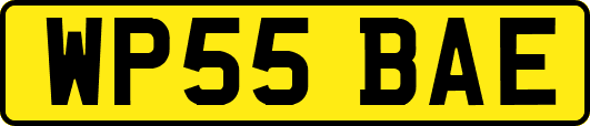 WP55BAE