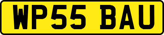WP55BAU