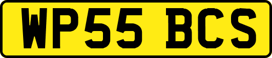 WP55BCS