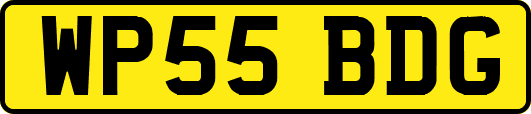 WP55BDG