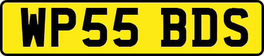 WP55BDS