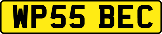 WP55BEC