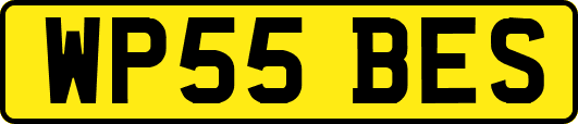 WP55BES