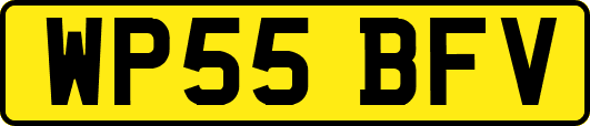 WP55BFV