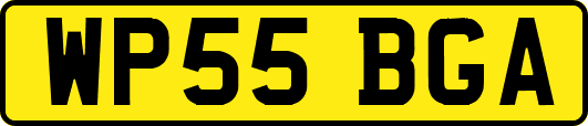 WP55BGA