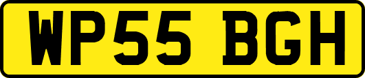 WP55BGH