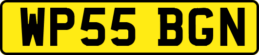 WP55BGN