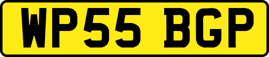 WP55BGP
